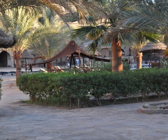 Imilchil Festival tour in Morocco
